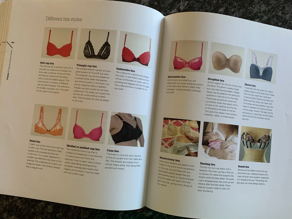 SEWING BOOK REVIEW 1 – Lingerie Design : A Complete Course